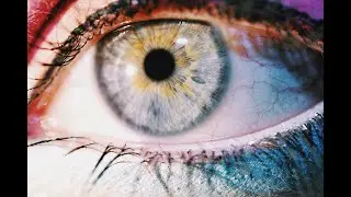 Eyelash Mites: What They Are and What They Mean for You #mites #eyecare