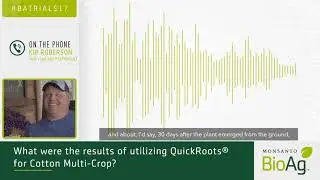 QuickRoots®-Treated Cotton Shows 3-Inch Height Advantage Over Check