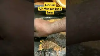 Amazing!! kok air bisa mengandung emas? #tambangindo #tambangbatubarakalsel