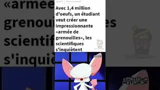 MEMACTU : Qu'est-ce qu'on fait ce soir ?