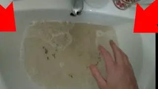 Чай Захлебнулся в Горячей Воде