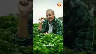 Lay’s | Za każdym wspaniałym chipsem Lay’s kryje się wspaniały ziemniak