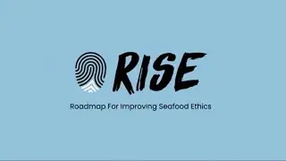 RISE 2021 Video