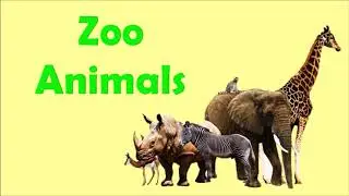 Zoo Animals | Talking Flashcards