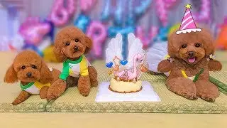 Dog reunites with son in car to celebrate birthday