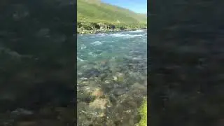 Суусамыр #shorts