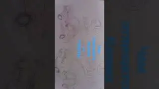 чем отличается Калина от гранты