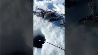 Лайфхак из тик тока пользуйтесь