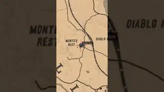 Madam Nazars Location) For 8/10 - RDR2 Online, #shorts-#shortsvideo,madam nazar location #rdr2