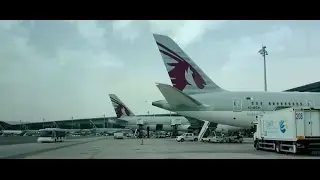 ✈ Qatar Airways | A330-200 | Doha to Dubai Shuttle Service