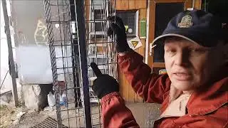 Столб из габиона