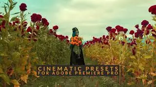 6 Essential BMPCC LUTs for Premiere Pro: Unlock Stunning Colors
