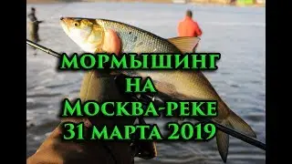 Мормышинг. 31.03.19.Тест спиннинга Koshey 696