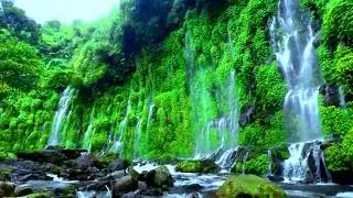 Asik-Asik Falls to Repeat Loop the Video in settings. For Sleep, Study, Relax 👉Better Quality |KCE