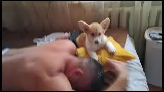 VID 20230719 WA0010