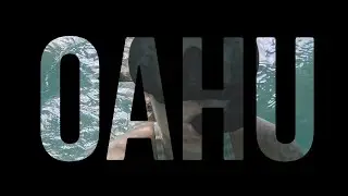 Snorkeling On Oahu
