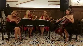 Can't Take My Eyes off You (I Love You Baby) - Frankie Valli - Cvartet Anima