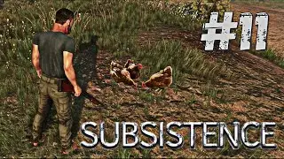 Subsistence #11 Глупая курица под домашним арестом.