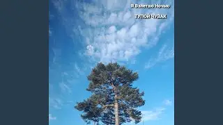 Трус Не Играет В Хоккей