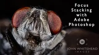 Focus Stacking in Adobe Photoshop