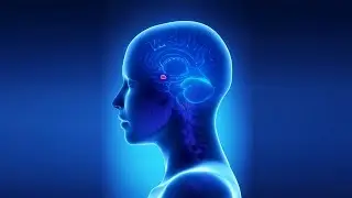 Act FAST when you recognize a Stroke