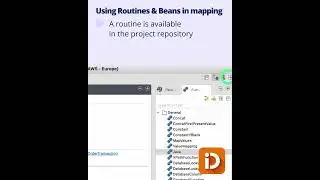 IntoData Data Mapper: Apply java routines from your repository when using Talend Data Mapper!