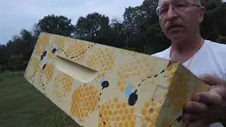 bee shed 6am