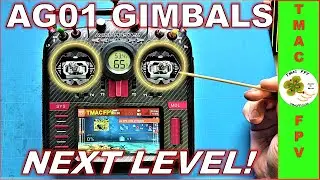 RadioMaster TX16S NEXT LEVEL Gimbals (AG01 CNC ALUMINUM HALL SENSOR & ADJUSTABLE!)