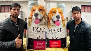 Drools Dog feed Review|Maxi Dog Feed #trendingshorts