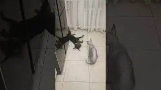 У нас продолжается битва😅