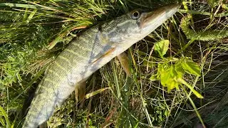 Распаковка удочек с WILDBERRIES ловля микро щук