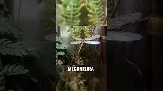 Insectos que agradecerás que se hayan extinguido #3 😧😱 #insectos #viral #informativo