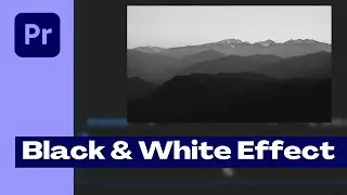 How to Make your video Black & White in Premiere Pro | Black & White Effect | Fast & Quick Tutorial