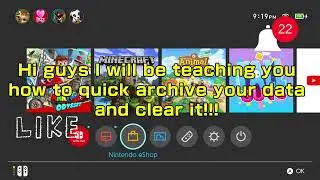 Nintendo how to use data management