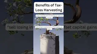 When To Use Tax Loss Harvesting