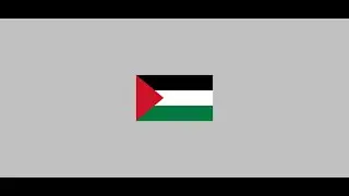 Palestine Flag using HTML & CSS | Website Development