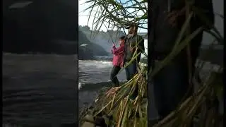 🛑🛑🛑 Mancing Liar Cimanuk Berburu Ikan Patin