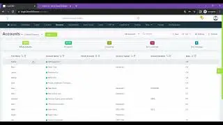 LionO360- Google OAuth process