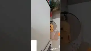 Загадка от Пса-блогера 2