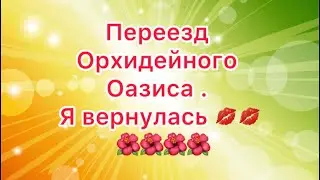 Переезд орхидейного оазиса !!!! #переезд на юг # орхидеи