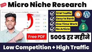 🔥12M Traffic | Micro Niche Research | International Micro Niche | Low Competition Keywords for blog