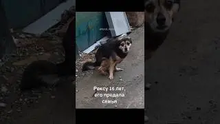 Старичку не собрали💔