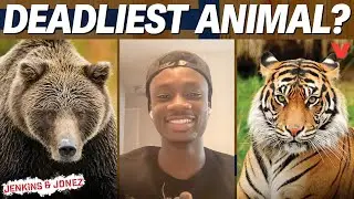 Animal expert reveals deadliest species in our Beast Bracket | Jenkins & Jonez x Casual Geographic