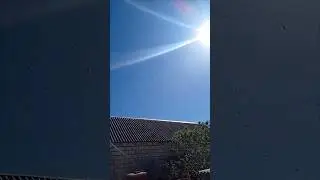Возвращение роя пчёл.
