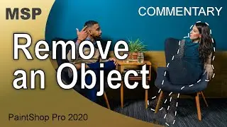 Remove an Object - Commentary - PaintShop Pro