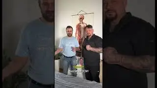 Саморегуляция