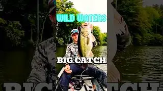 Bass Smash in the Wild Waters