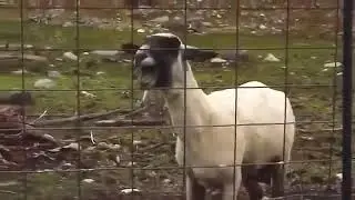 EU DPS  DE  TOMA TODIN SEM AGITA  KKKAKAKAK