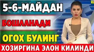 ШОШИЛИНЧ! УЗБЕКИСТОН ФУКОРОЛАРГА ЙЕТКАЗИНГ 5 6-МАЙДАН ХАЛК ТАЙЁР ТУРИНГ..