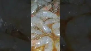 #shrimp